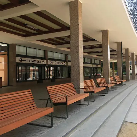 Accommodatie bij particulieren V Soukromi Luzne